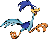 roadrunner